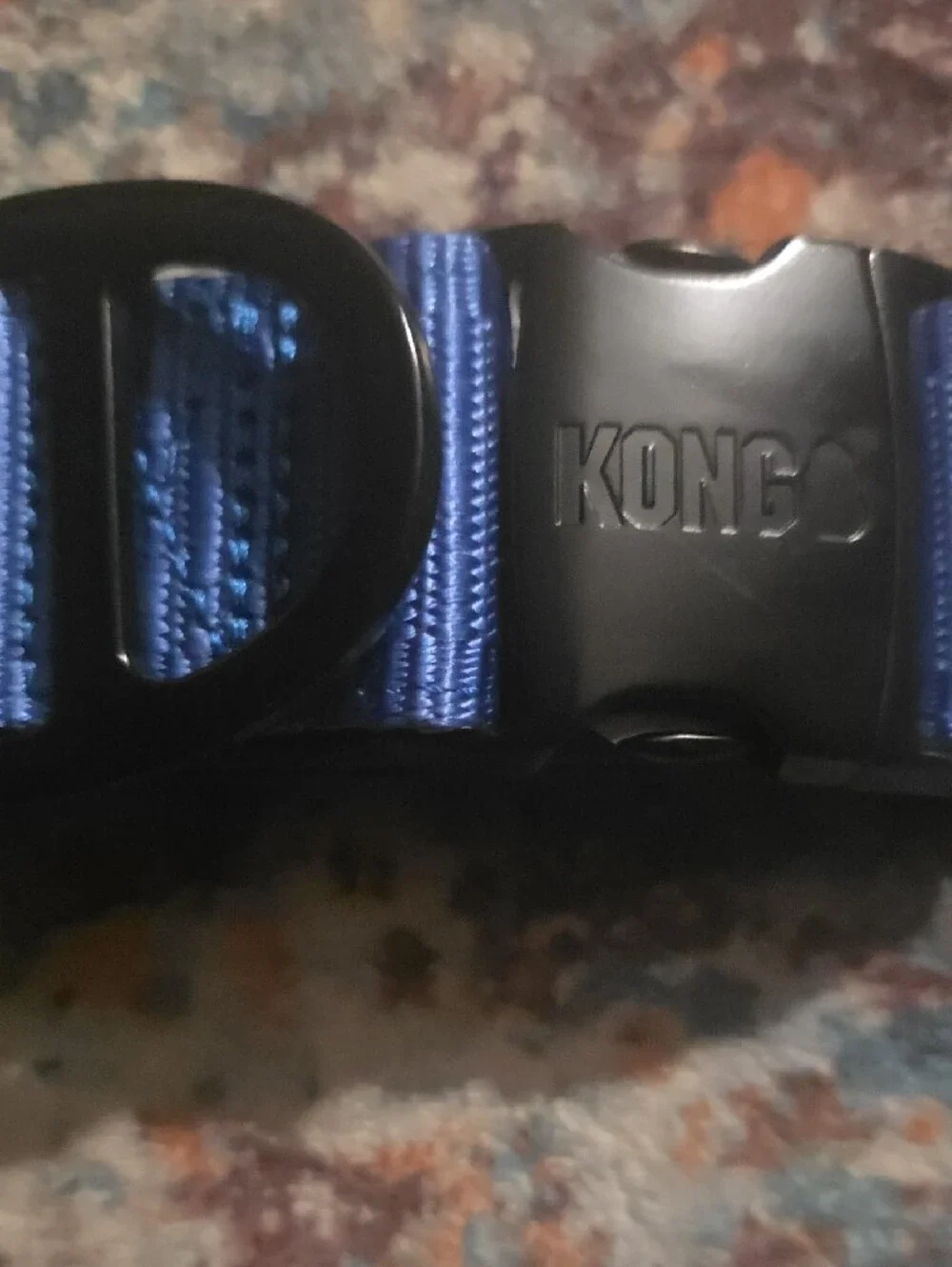 Kong Blue Nylon Dog Collar with Black Buckle LARGE NWT